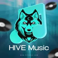 邓紫棋 album art